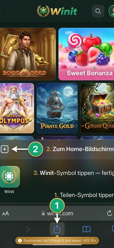 Winit auf dem iPhone installieren – Winit